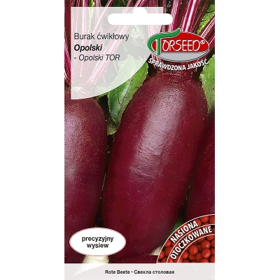 Burak ćwikłowy Opolski otoczka ok. 100 nasion